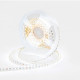 Лента светодиодная Apeyron Electrics R00-379
