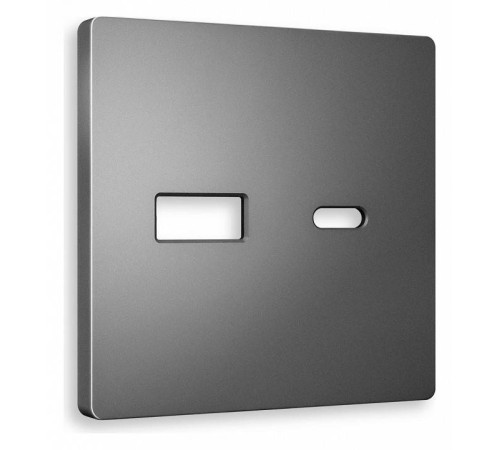 Накладка для розетки type A и C Ambrella Volt Quant AP6610