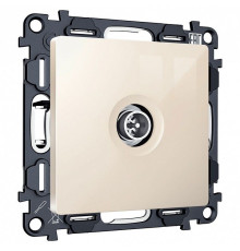ТВ-розетка оконечная без рамки Ambrella Volt ALFA MA313005