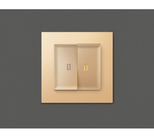 Выключатель двухклавишный с подсветкой без рамки Ambrella Volt Quant MA604010
