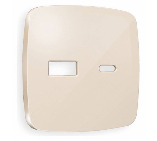 Накладка для розетки type A и C Ambrella Volt Quant OP3110