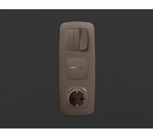 Накладка для розетки с заземлением и со шторками и 2хUSB type A Ambrella Volt Quant OP6390