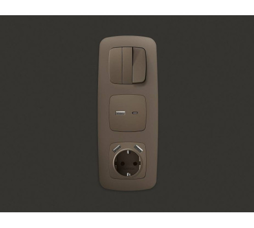 Накладка для розетки с заземлением и со шторками и 2хUSB type A и C Ambrella Volt Quant OP6400