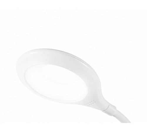 Настольная лампа офисная Ambrella Light DE DE700