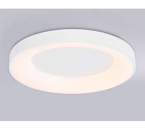 Накладной светильник Ambrella Light FZ FZ1401