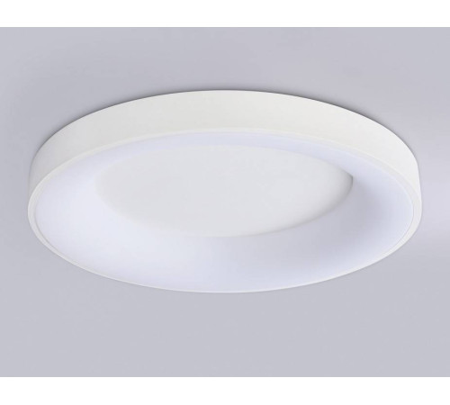 Накладной светильник Ambrella Light FZ FZ1401