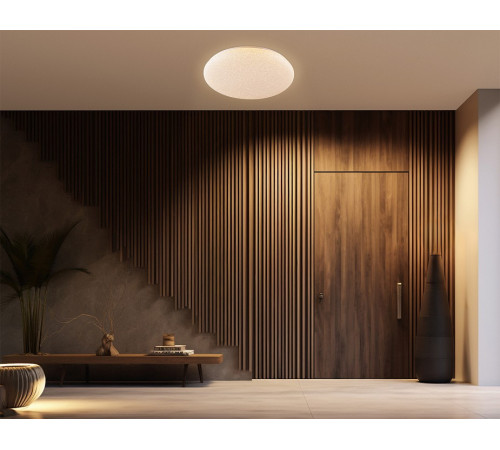 Накладной светильник Ambrella Light FZ1751