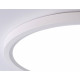 Потолочный светильник Ambrella Light FZ FZ1909 LED 44 Вт 3000-6500 К FZ1909