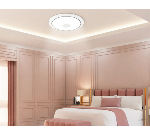 Накладной светильник Ambrella Light FZ720