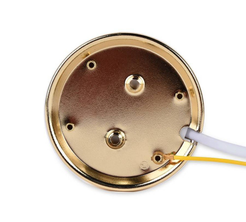 Накладной светильник Ambrella Light G G102 GD