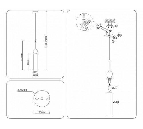 Подвесной светильник Ambrella light LH LH53256