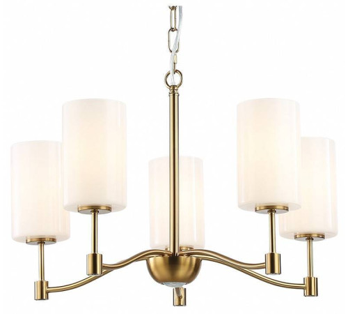 Подвесная люстра Ambrella Light LH LH56051