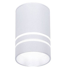 Накладной светильник Ambrella Light TN TN236