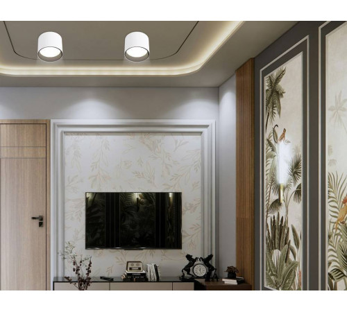 Накладной светильник Ambrella light TN TN5303