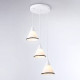 Подвесной светильник Ambrella Light TR TR3167