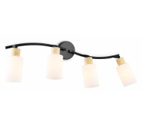 Спот Ambrella Light TR TR8723