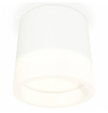 Накладной светильник Ambrella Light XS XS8110001