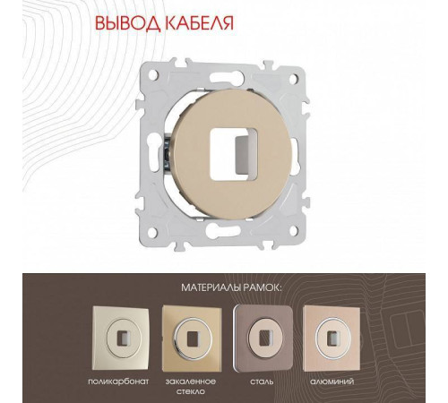 Розетка для вывод кабеля без рамки Arte Milano am-202 202.49-1.shampan