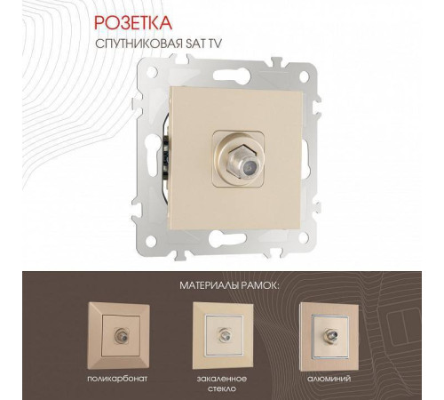 ТВ-розетка без рамки Arte Milano am-203 203.42-1.shampan