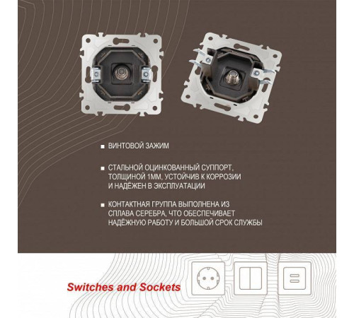 ТВ-розетка без рамки Arte Milano am-203 203.42-1.shampan