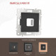 Розетка для вывод кабеля без рамки Arte Milano am-203 203.49-1.black