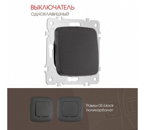 Выключатель одноклавишный без рамки Arte Milano 205 205.30-1.black