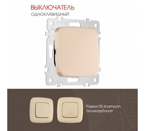 Выключатель одноклавишный без рамки Arte Milano 205 205.30-1.shampan