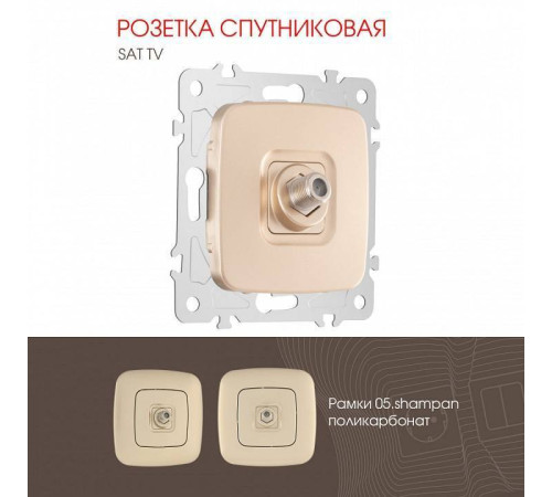 ТВ-розетка без рамки Arte Milano am-205 205.42-1.shampan