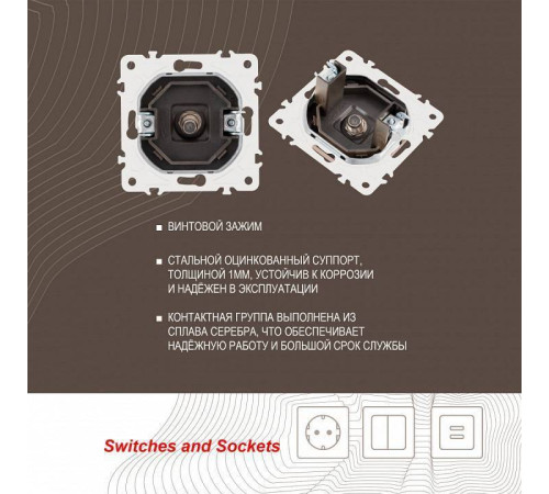 ТВ-розетка без рамки Arte Milano am-205 205.42-1.shampan