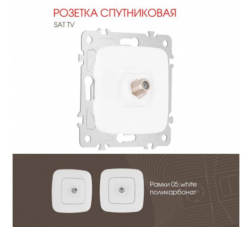 ТВ-розетка без рамки Arte Milano am-205 205.42-1.white