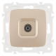 ТВ-розетка без рамки Arte Milano am-205 205.43-1.shampan