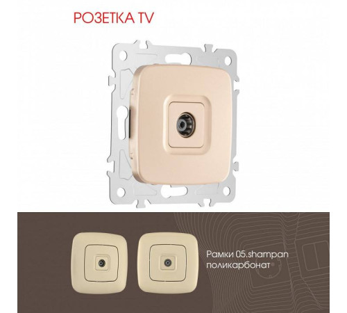 ТВ-розетка без рамки Arte Milano am-205 205.43-1.shampan
