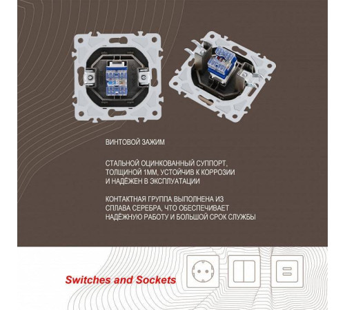Розетка Ethernet RJ-45 без рамки Arte Milano am-206 206.45-1.shampan