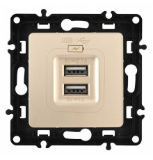 Розетка USB, без рамки Arte Milano am-217 217.46-1.shampan