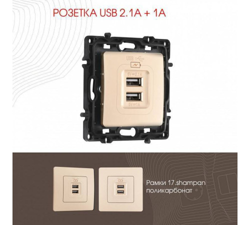 Розетка USB, без рамки Arte Milano am-217 217.46-1.shampan