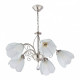 Подвесная люстра Arte Milano Amalfi-2656 5xE14 332656/5 SN