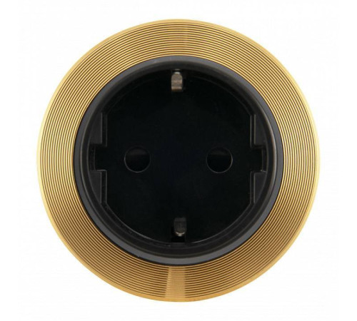 Розетка с заземлением на треке Arte Milano Am-track-sockets-39 397952TS/ES Gold