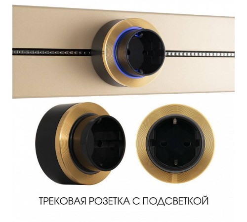 Розетка с заземлением на треке Arte Milano Am-track-sockets-39 397952TS/ES Gold