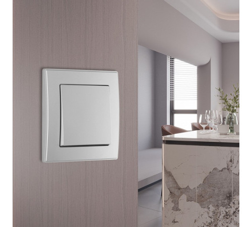 Выключатель одноклавишный Arte Milano SET06-1 SET06-1-30-1 silver