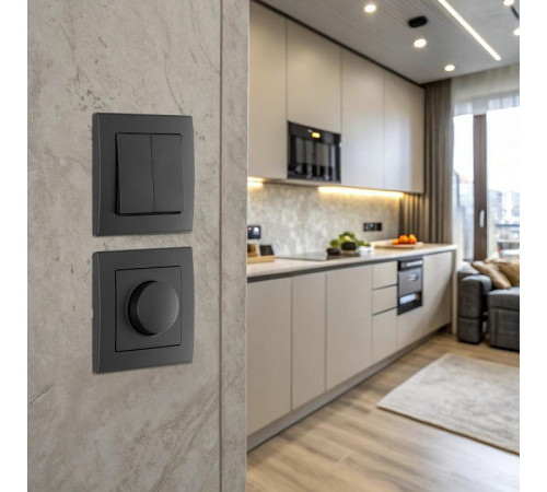 Выключатель двухклавишный Arte Milano SET06-1 SET06-1-30-2 black