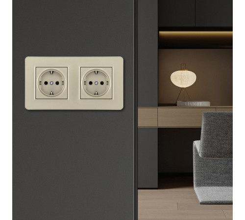 Розетка с заземлением и со шторкой Arte Milano SET16-2 SET16-2-40-1x2 shampan