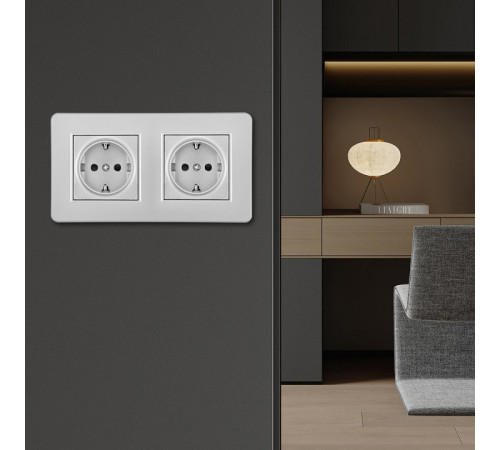 Розетка с заземлением и со шторкой Arte Milano SET16-2 SET16-2-40-1x2 silver