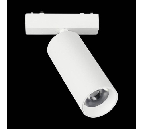 Светильник на штанге Aployt Magnetic track 48 APL.0114.10.18