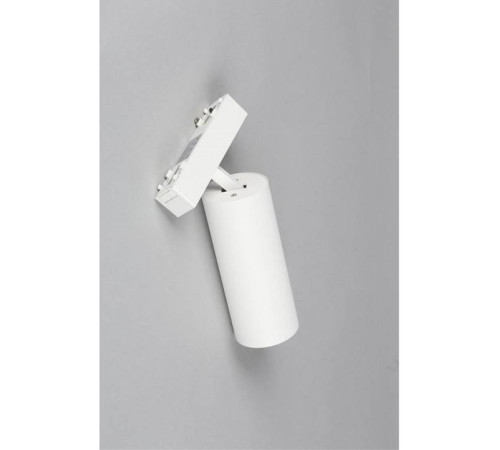 Светильник на штанге Aployt Magnetic track 48 APL.0114.10.18