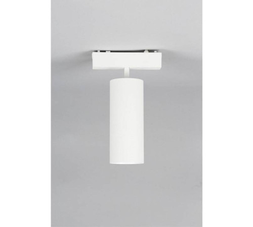 Светильник на штанге Aployt Magnetic track 48 APL.0114.10.18