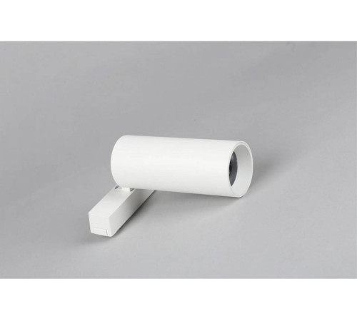 Светильник на штанге Aployt Magnetic track 48 APL.0114.10.18