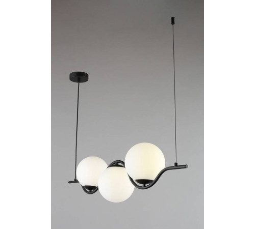 Подвесной светильник Aployt Jagna APL.312.03.03