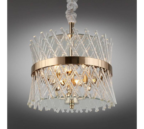 Подвесной светильник Aployt Toinet APL.734.06.03