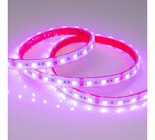 Лента светодиодная Arlight RTW герметичная 021402(2)