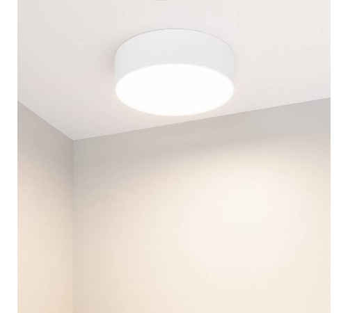Накладной светильник Arlight RONDO 021777(2)